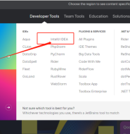 开发环境-IntelliJ IDEA2023